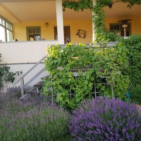 Ferienhaus Schiller Waren  Ngoại thất bức ảnh